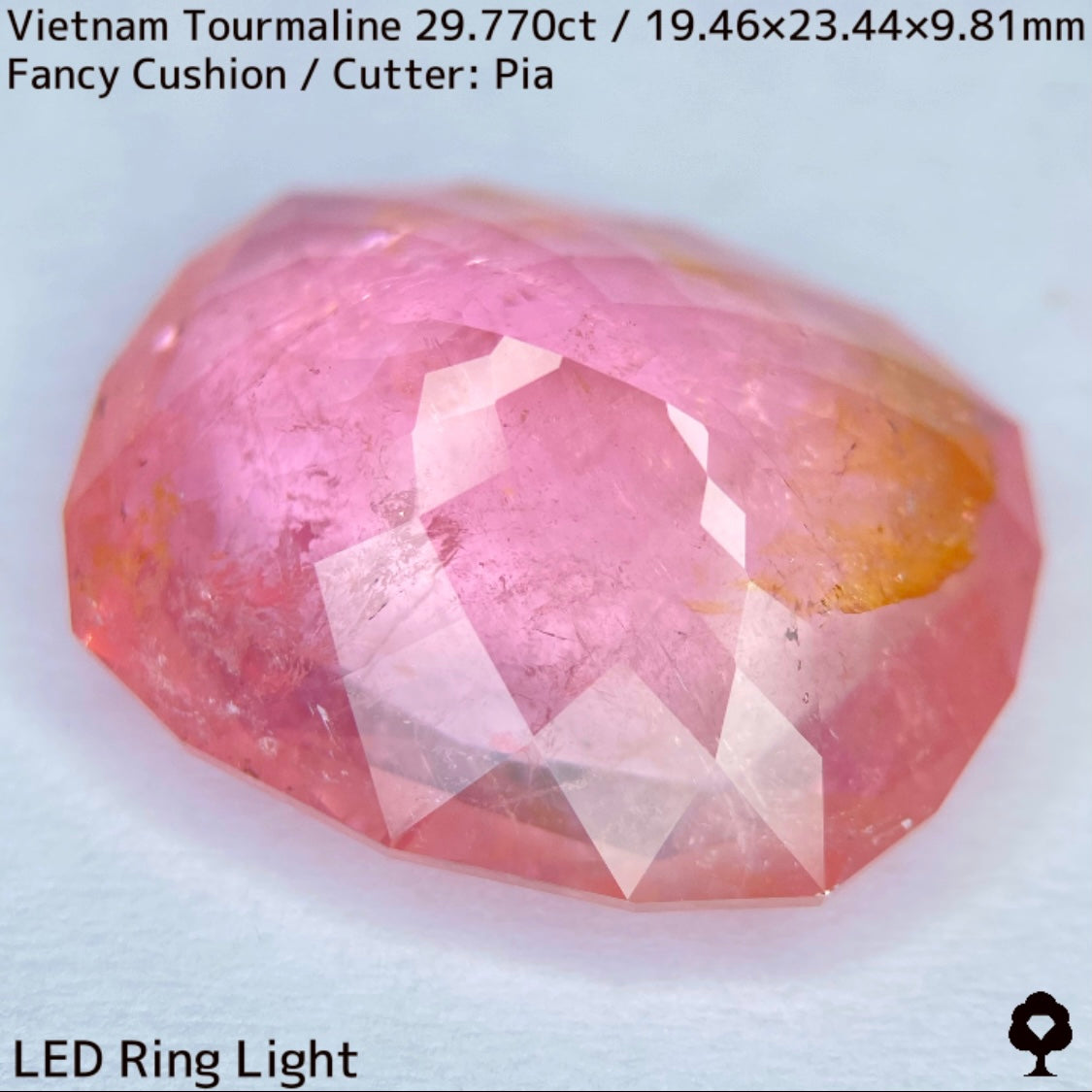 ベトナム産トルマリン29.770ct★華やかなベトナム産らしい桜満開巨石