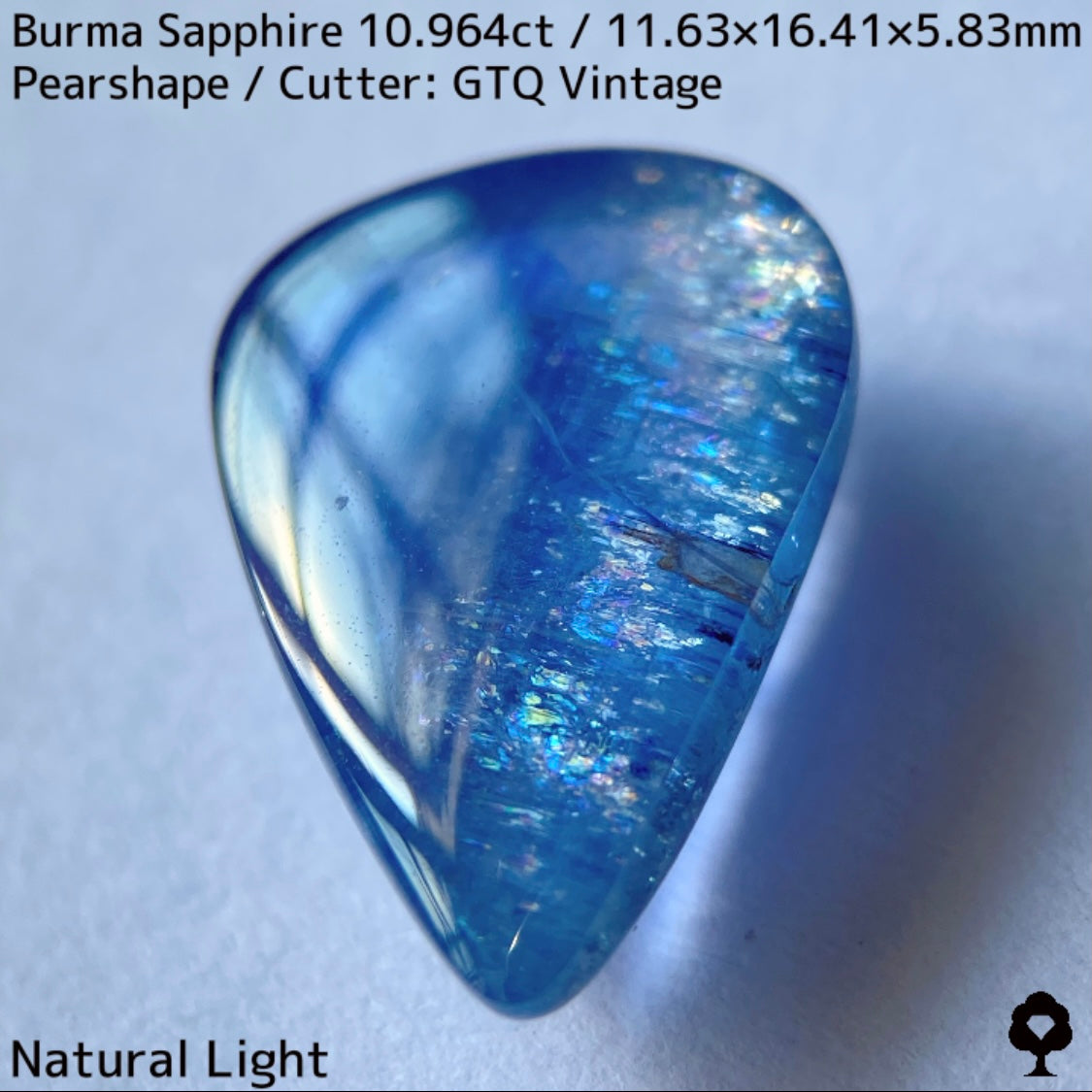 ビルマ産サファイア10.964ct★煌めく虹インクルと実はキャッツが出るなど面白さ詰まった秘蔵品