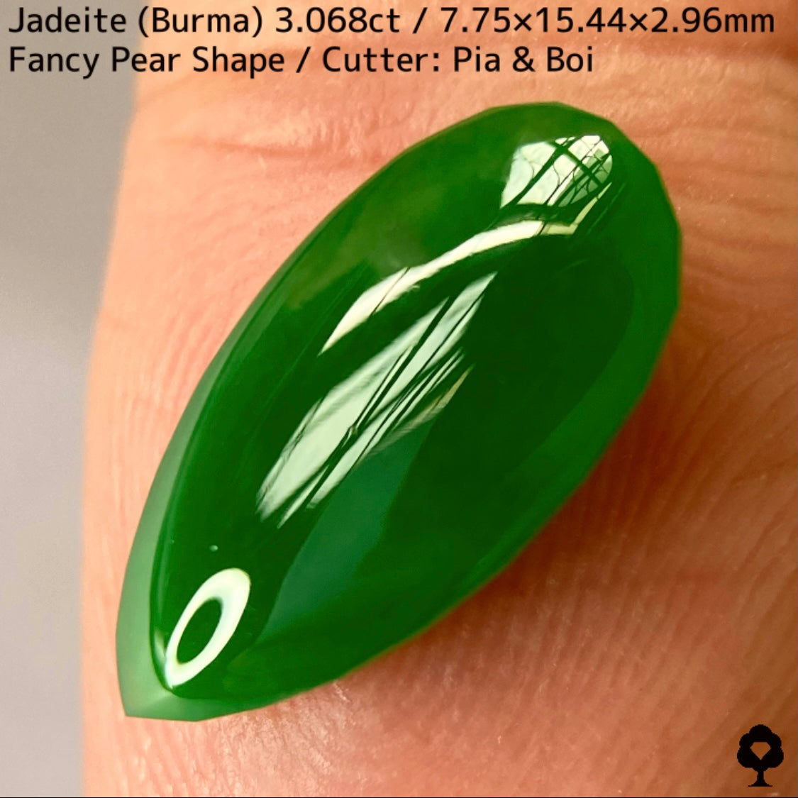 翡翠3.068ct★マスターストーンと言える濃色美グリーンのさりげなく輪郭が縁取られたツヤツヤファンシーペアシェイプ