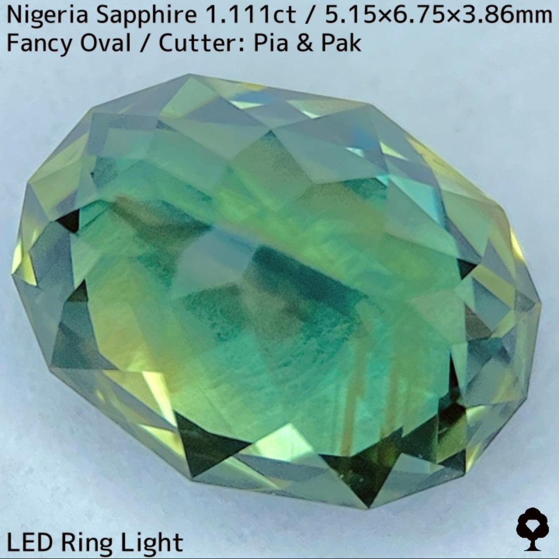 ナイジェリア産サファイア1.111ct★ゴールドのラインが美しいたまらなく面白いシルキーブルーイッシュグリーン