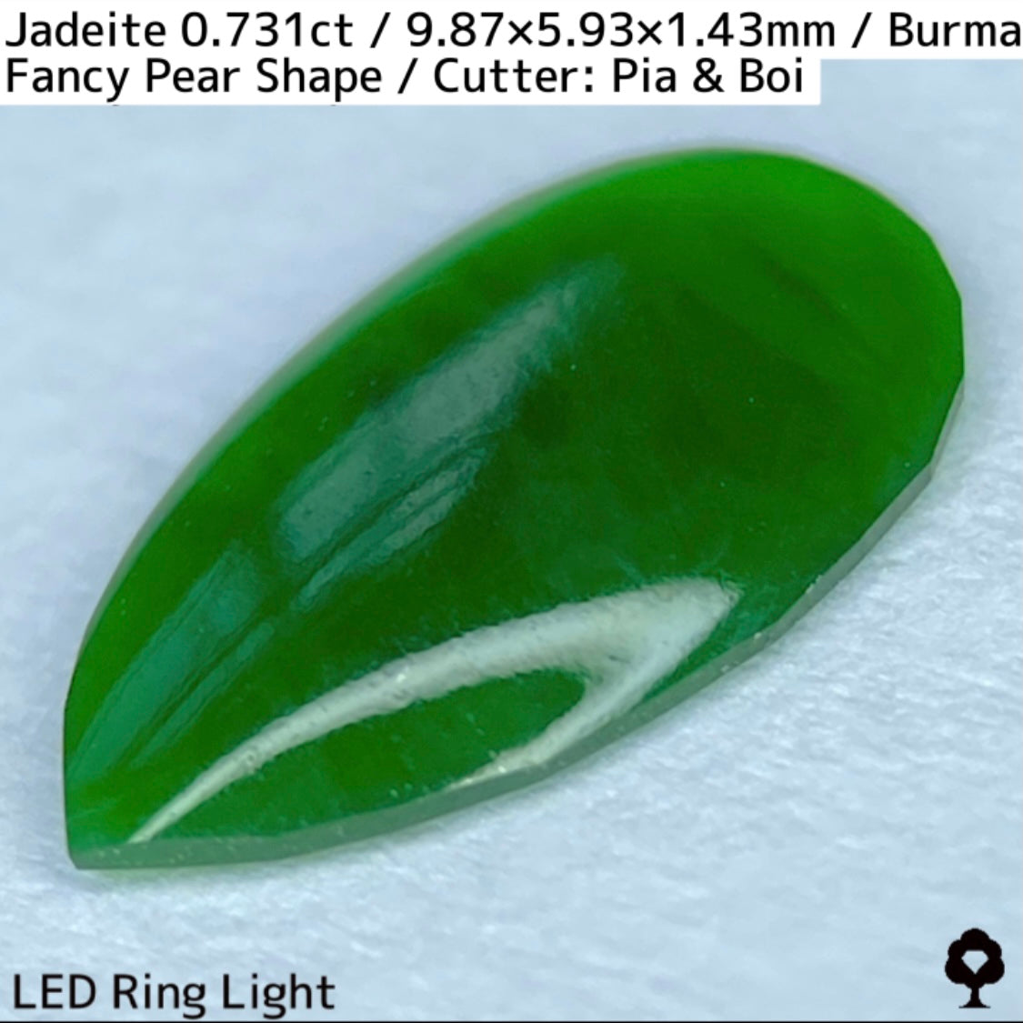 翡翠0.731ct★GTJ創業者大御所のセレクトのお手本翡翠に細やかな縁取り