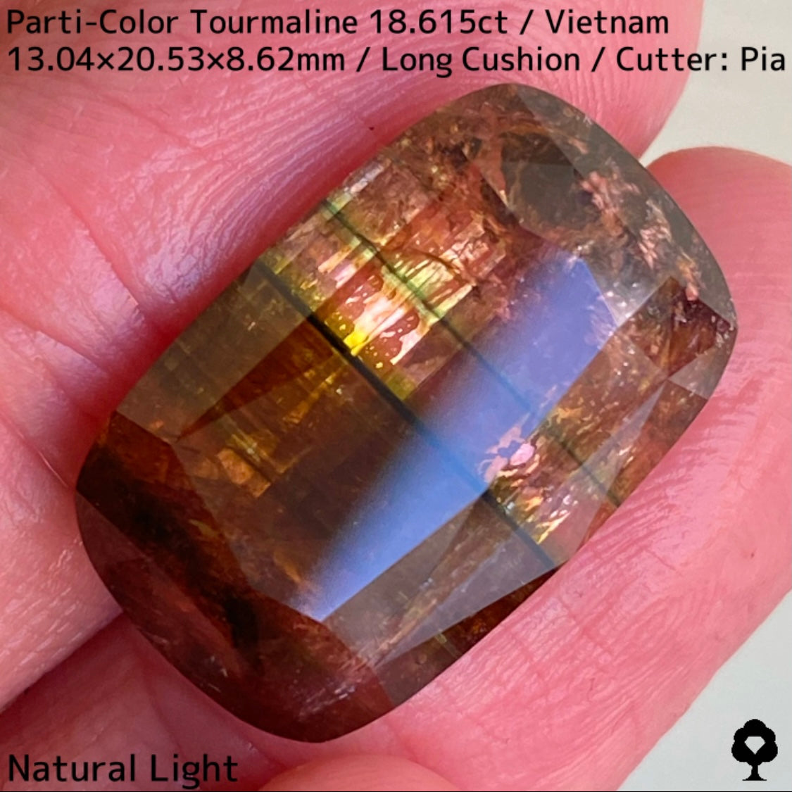 ベトナム産パーティカラートルマリン18.615ct★金屏風桜と夜桜を一石で楽しめる趣深いベトナム巨石