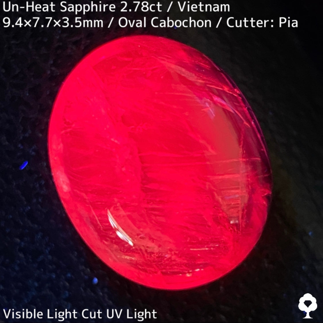 ベトナム産非加熱サファイア2.78ct★発色の良いパープルにオレンジインクルで絵画のようなベトナム産らしい面白い一石