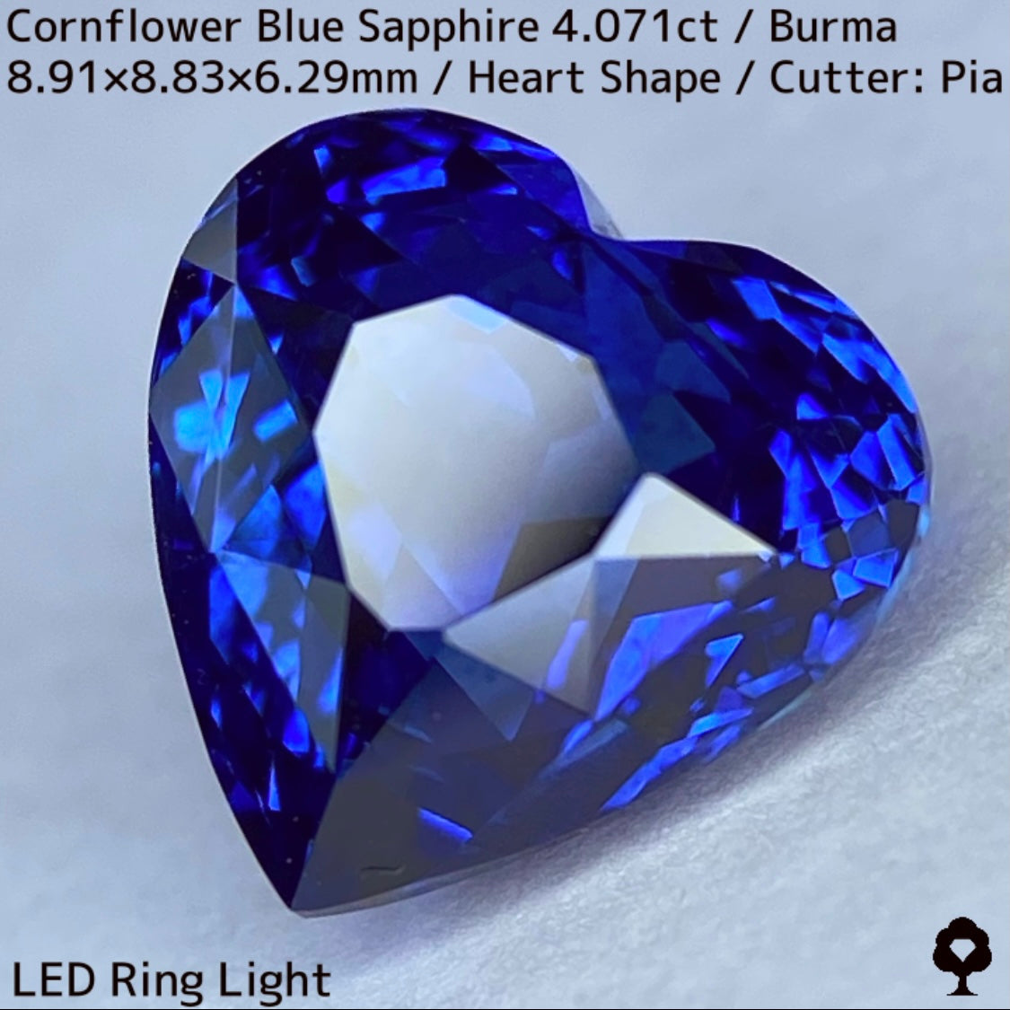 ビルマ産コーンフラワーブルーサファイア4.071ct★ロイヤルブルー寄りの濃いめ最高コーンフラワーブルーが美しすぎる超一級品