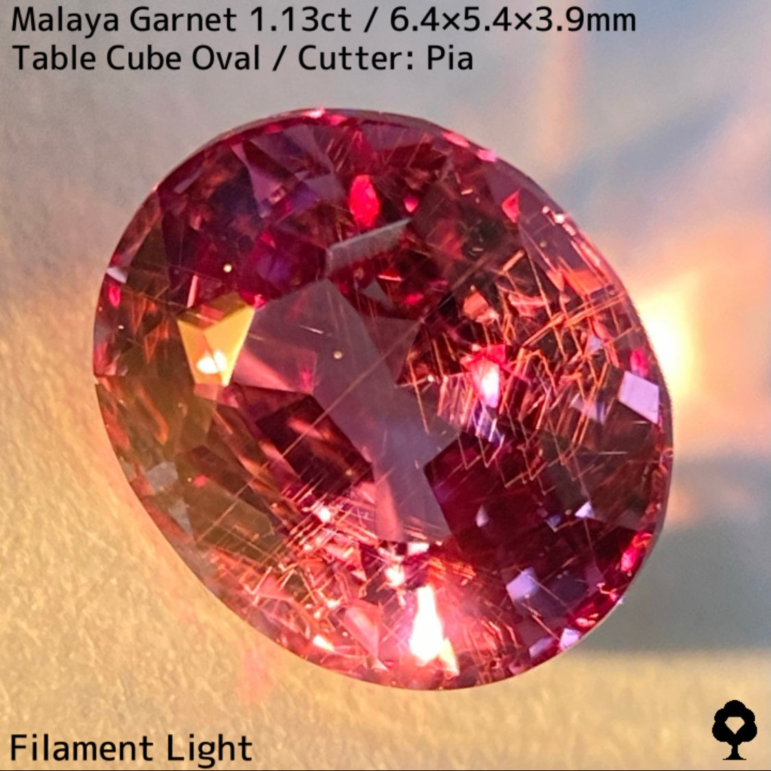 【ご当選者さま専用】マラヤガーネット1.13ct★光や時間によって変わる美ピンクの針インクル入り美結晶は煌きが止まらない