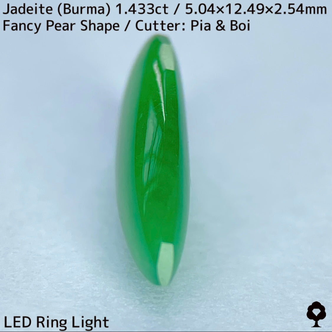翡翠1.433ct★明るい美グリーンのマスターストーンはGTJならではのさりげなく輪郭が縁取られたツヤツヤファンシーペアシェイプ