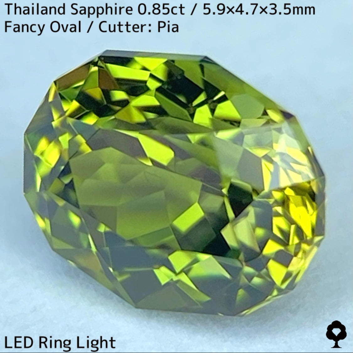 タイ産サファイア0.85ct★バンカチャらしいパーティライムカラーにファイアー彩る美結晶