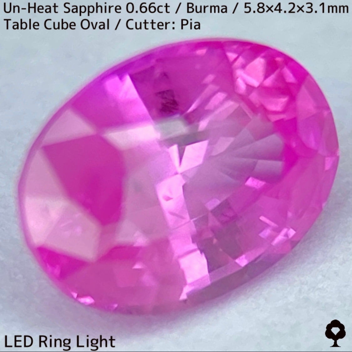 【お客さま専用】ビルマ産非加熱サファイア0.66ct★クリアさもあるシルキーピンクの可愛い強蛍光オーバル