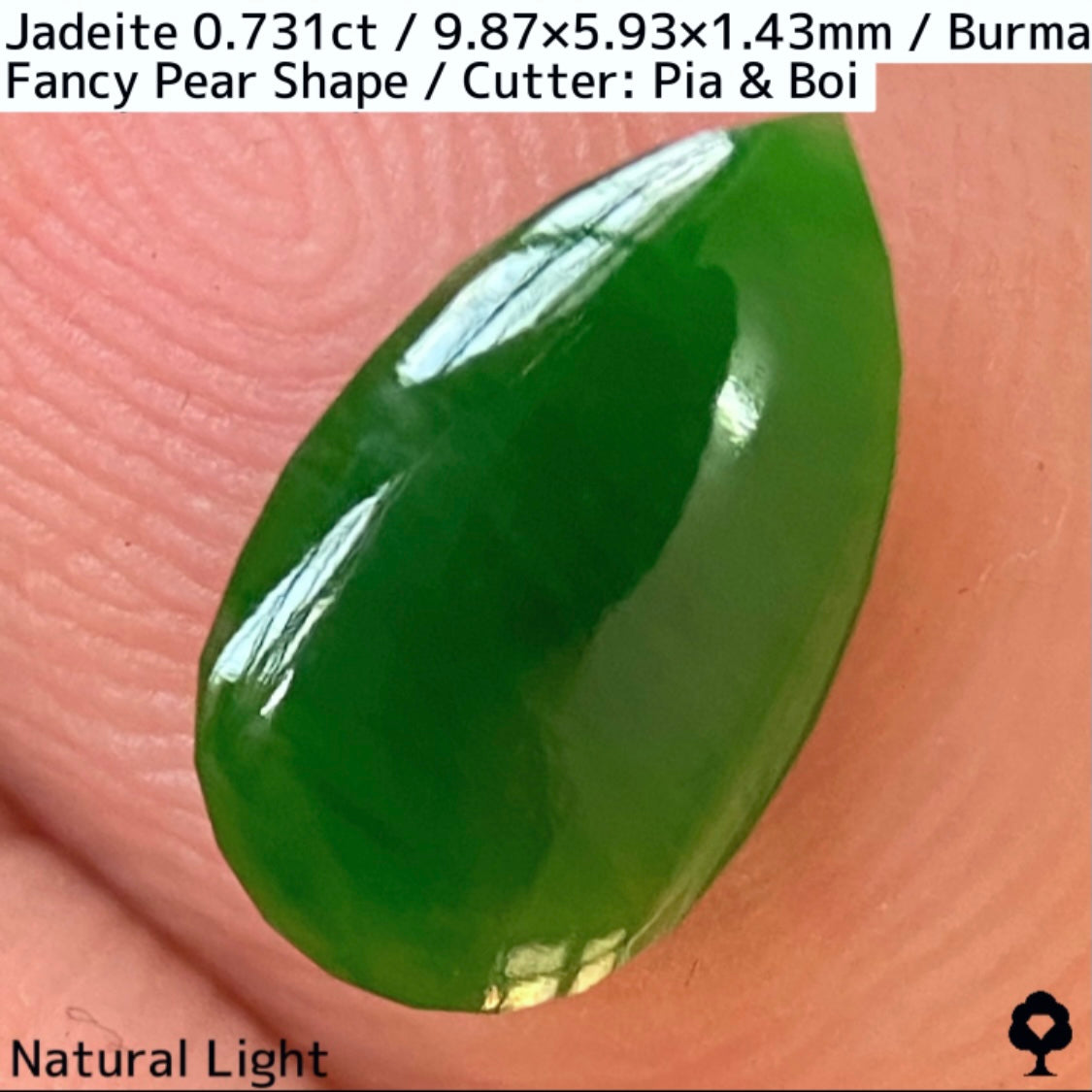 翡翠0.731ct★GTJ創業者大御所のセレクトのお手本翡翠に細やかな縁取り