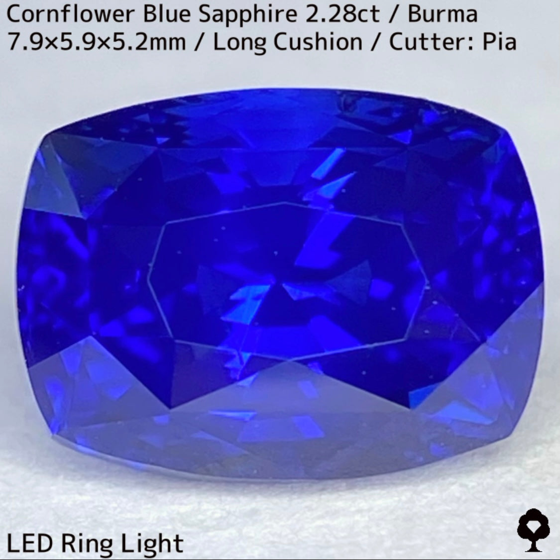 ビルマ産コーンフラワーブルーサファイア2.28ct★シルキー感も色合いもプロポーションも最高の希少ビルマ産