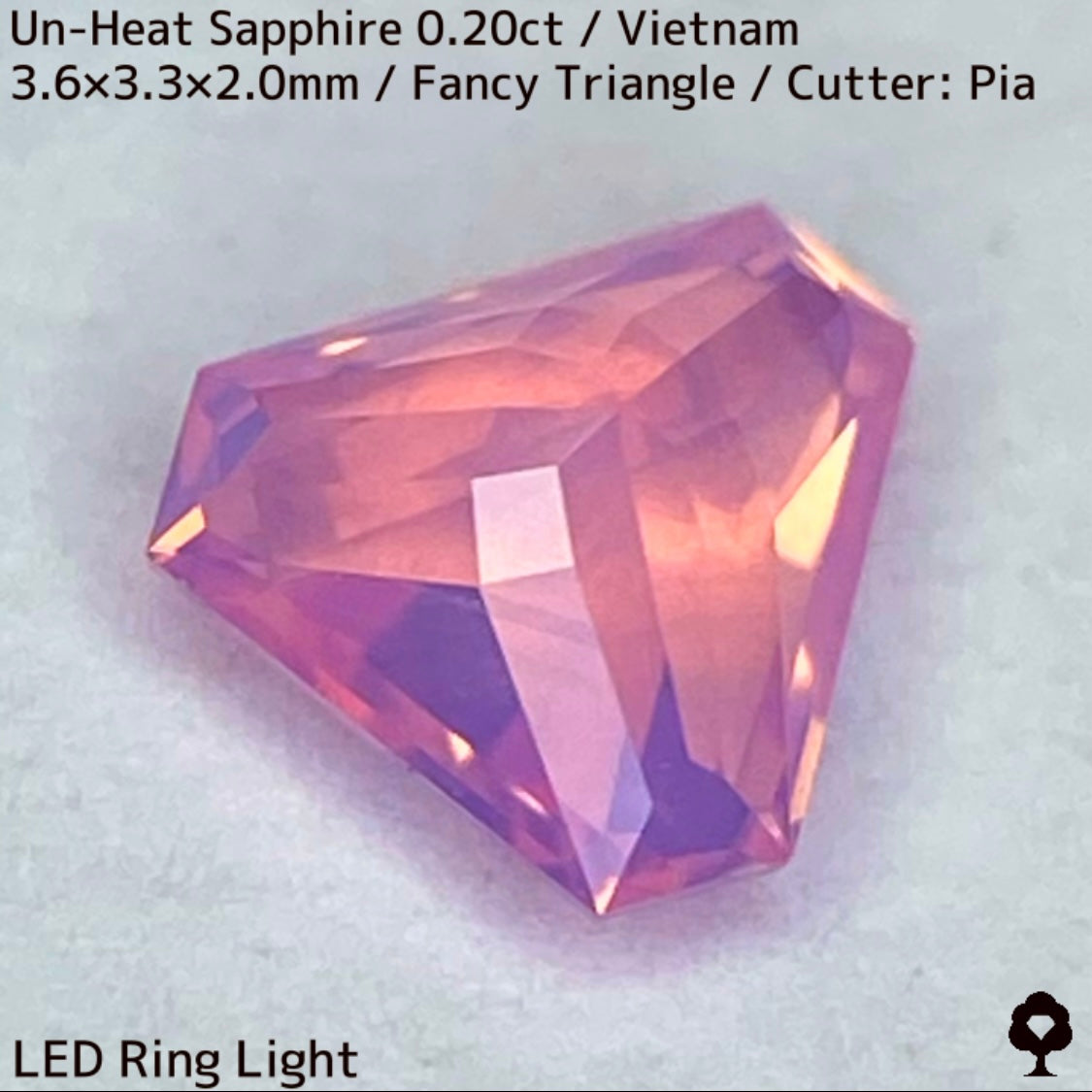 【ご当選者さま専用】ベトナム産非加熱サファイア0.204ct★デルタ形シェイプのシルキーピンクに詰まった煌めきのお花畑
