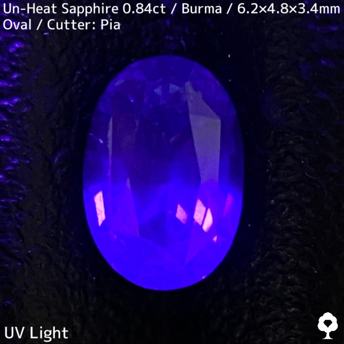 ビルマ産非加熱サファイア0.845ct★シルキーで爽やかな発色の良い希少ビルマ産コーンフラワー系ブルー