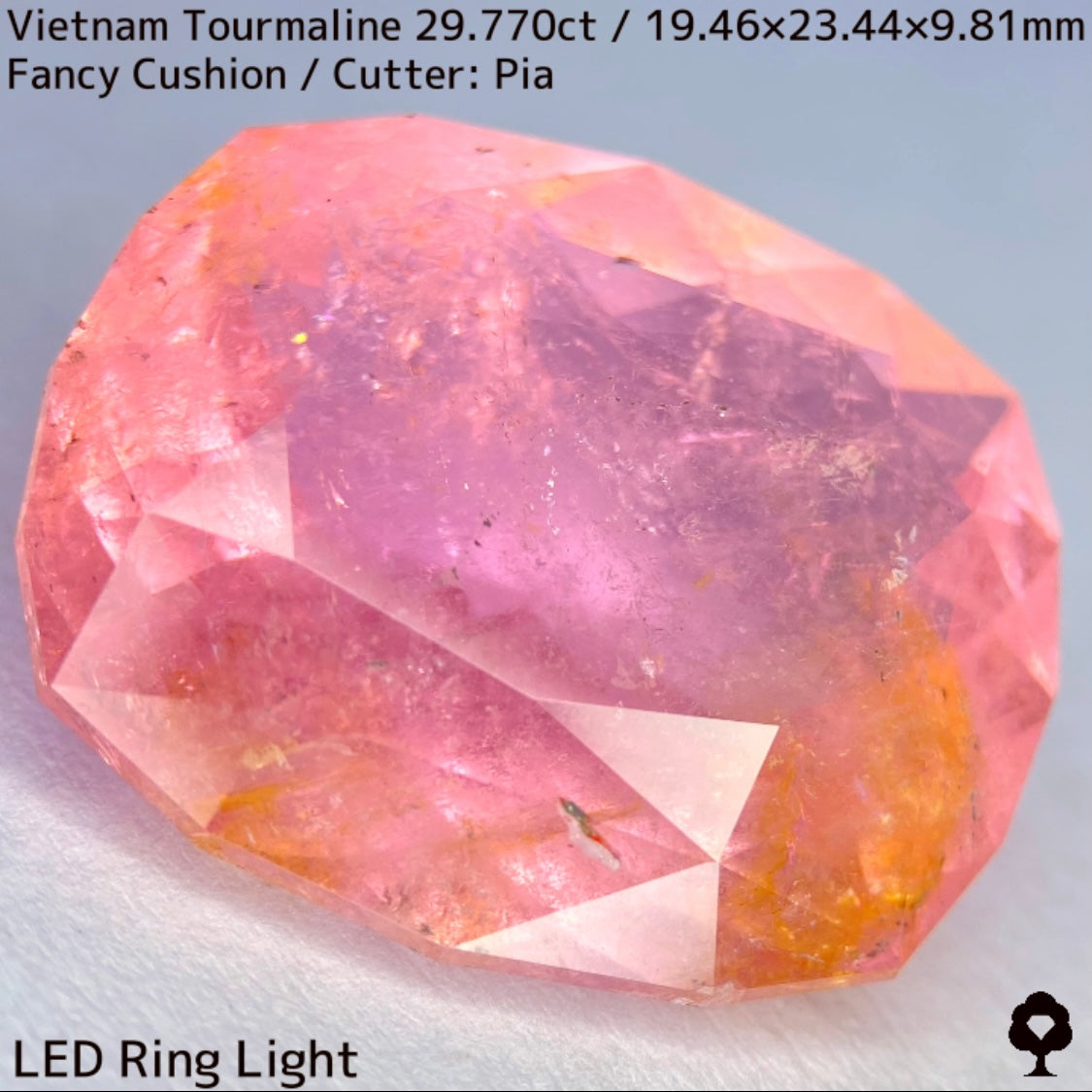 ベトナム産トルマリン29.770ct★華やかなベトナム産らしい桜満開巨石