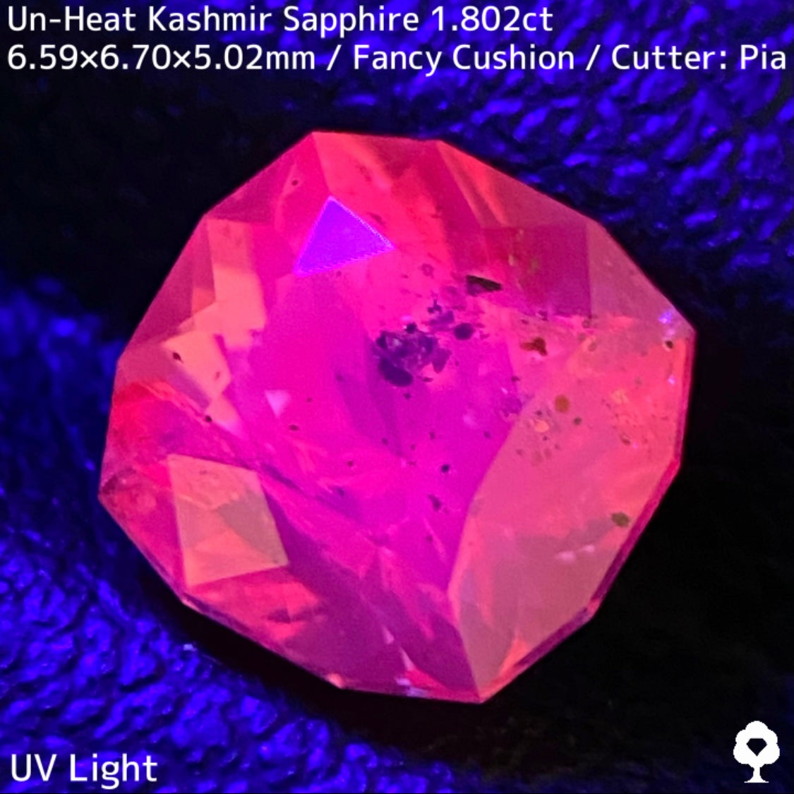 パキスタン産非加熱カシミールサファイア1.802ct★希産カシミールのらしさ全開の名品を色んな光源で楽しんで