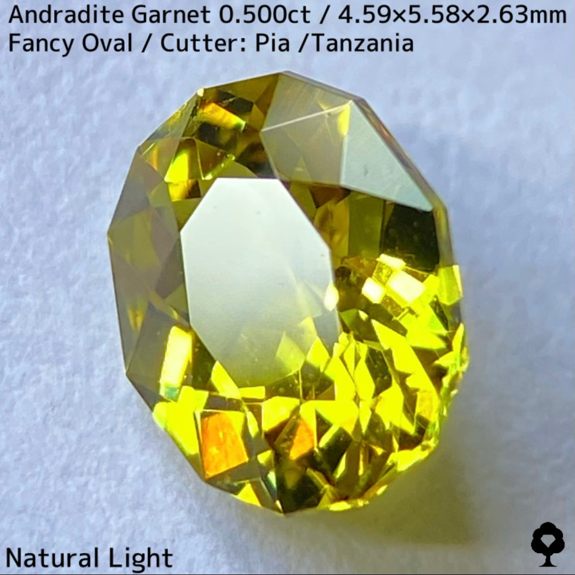 アンドラダイトガーネット0.500ct★強烈な煌めきとファイアー溢れるグリニッシュイエロー