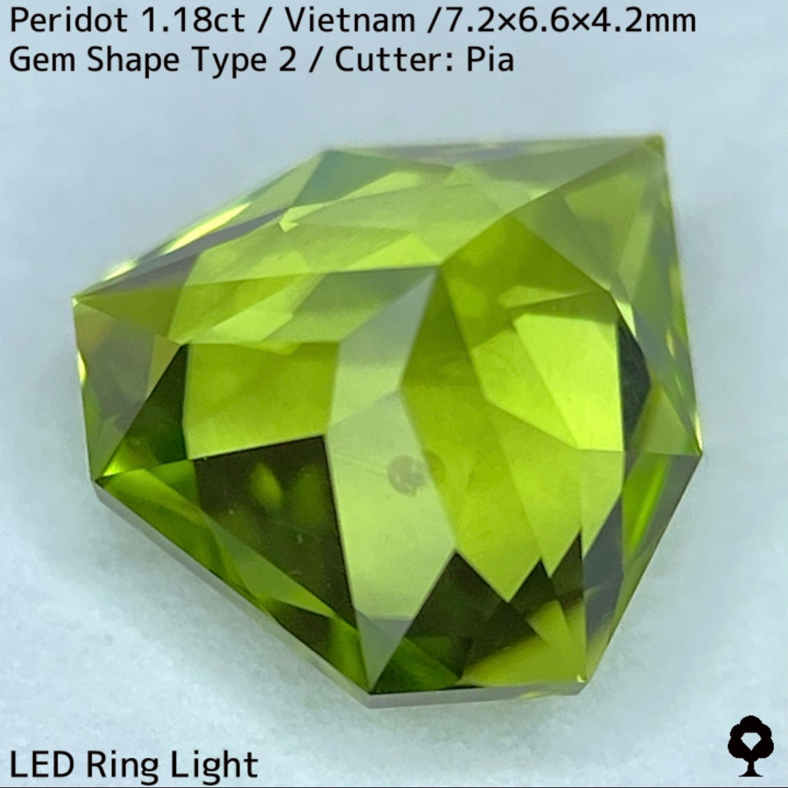 【ご当選者さま専用】ベトナム産ペリドット1.18ct★リリーパッド入り美色結晶の盾のような宝石形タイプ2