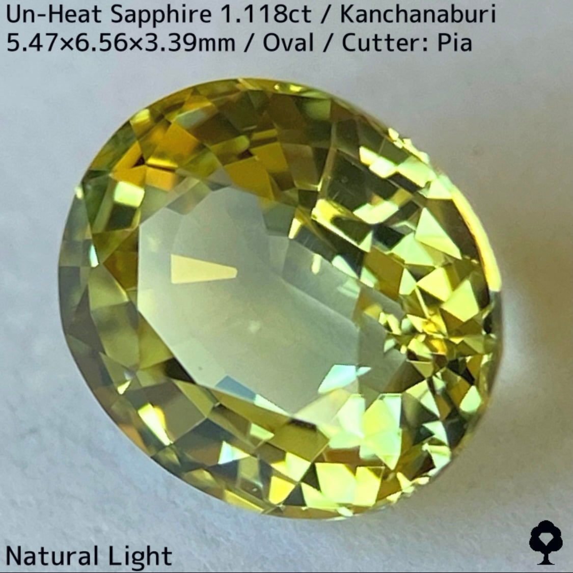 カンチャナブリー産非加熱サファイア1.118ct★弾けるライトグリニッシュイエローの強く美しい煌めき