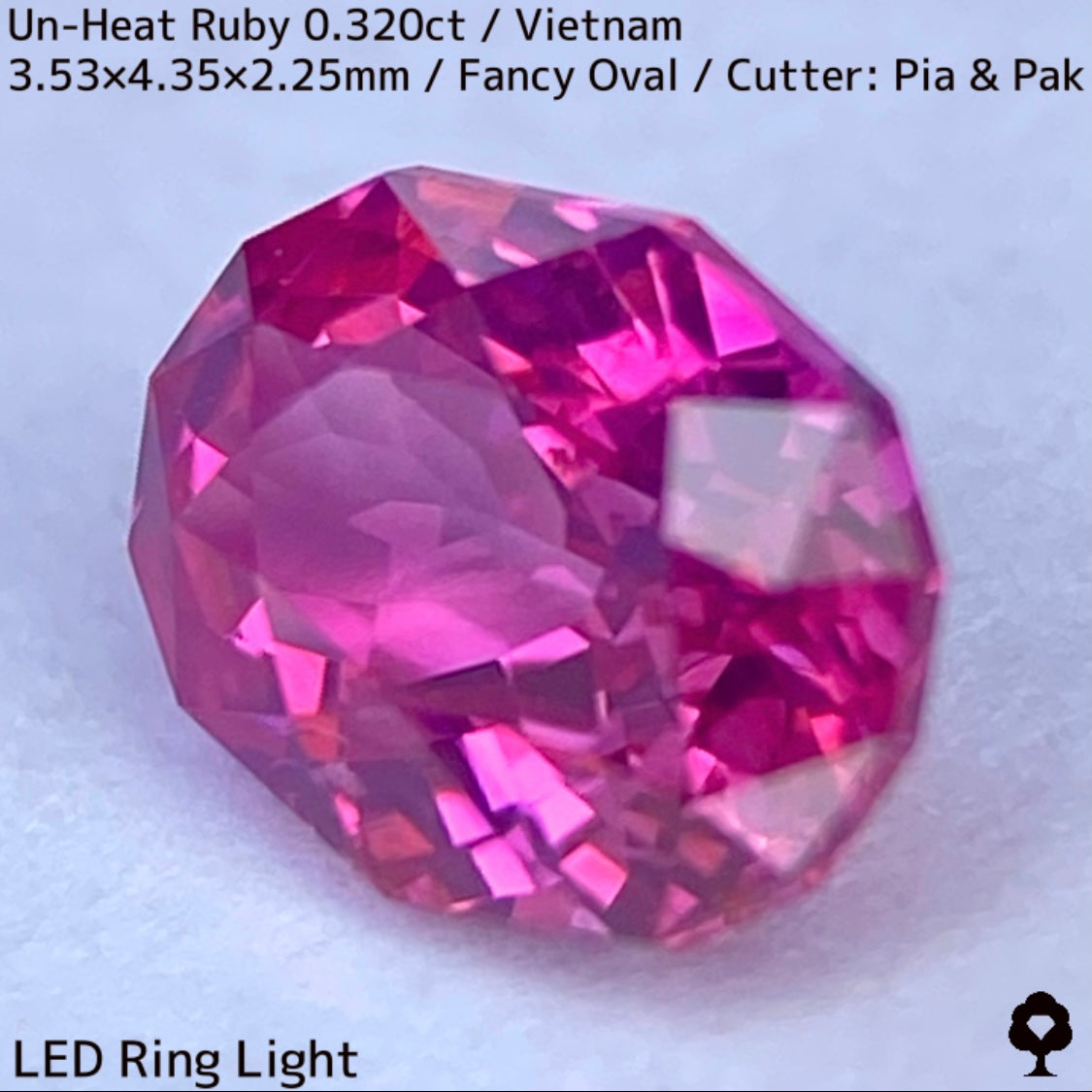ベトナム産非加熱ルビー0.320ct★ネオンピンクの煌めき溢れる花咲くファンシーオーバル