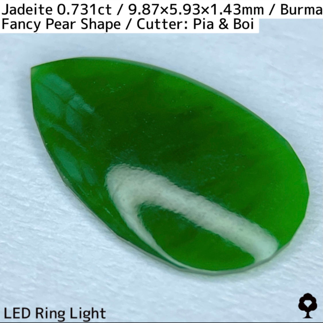 翡翠0.731ct★GTJ創業者大御所のセレクトのお手本翡翠に細やかな縁取り