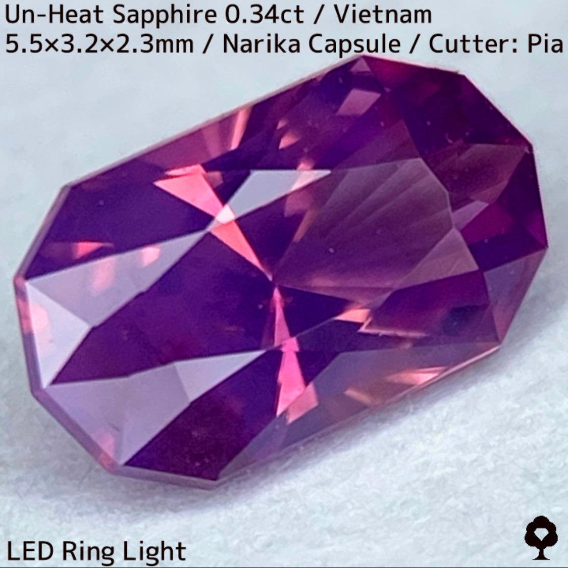 ベトナム産非加熱サファイア0.341ct★初のカプセルナリカーによってシックな色合いからネオンピンクの煌めき放つ