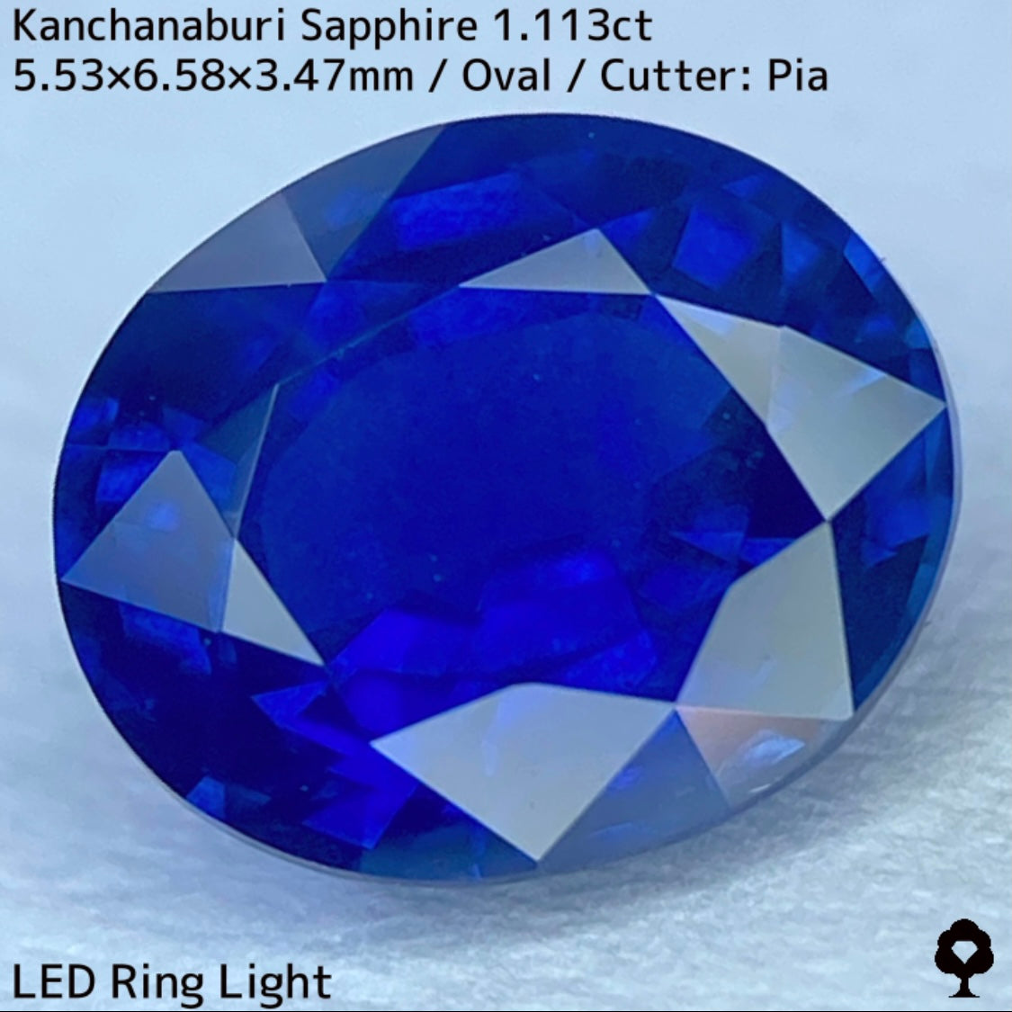 カンチャナブリー産サファイア1.113ct★カンチャらしいシルキーでほんのりグリニッシュなブルーの希少1ctアップ