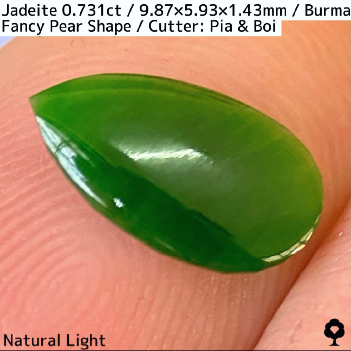 翡翠0.731ct★GTJ創業者大御所のセレクトのお手本翡翠に細やかな縁取り