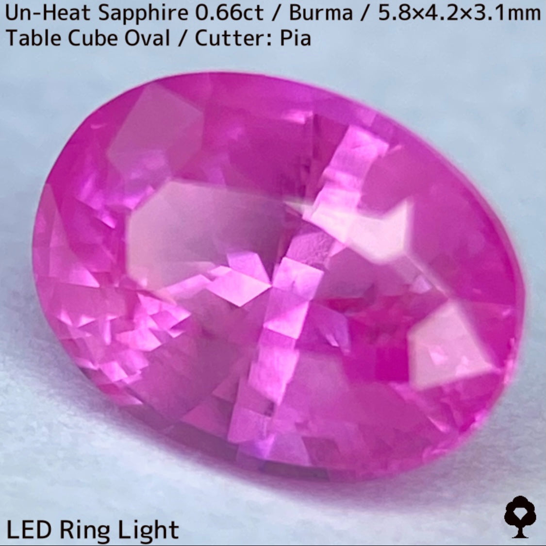 【お客さま専用】ビルマ産非加熱サファイア0.66ct★クリアさもあるシルキーピンクの可愛い強蛍光オーバル