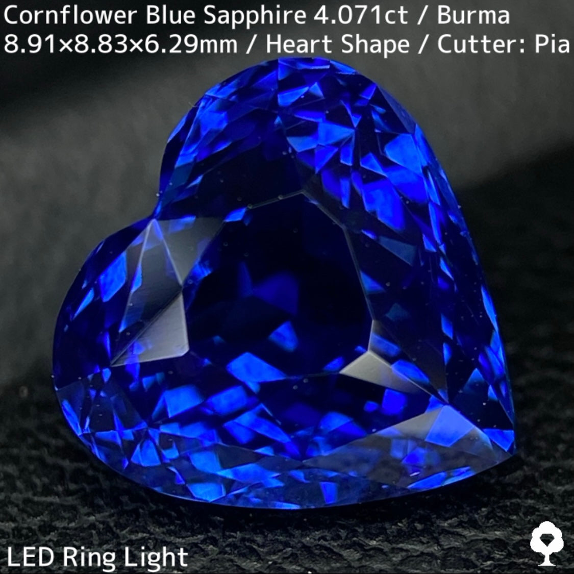 ビルマ産コーンフラワーブルーサファイア4.071ct★ロイヤルブルー寄りの濃いめ最高コーンフラワーブルーが美しすぎる超一級品
