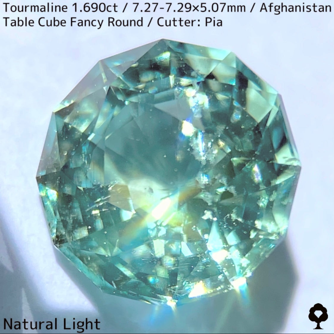 トルマリン1.690ct★美色ミントグリーンの煌めきがギラつくスパイダーカット