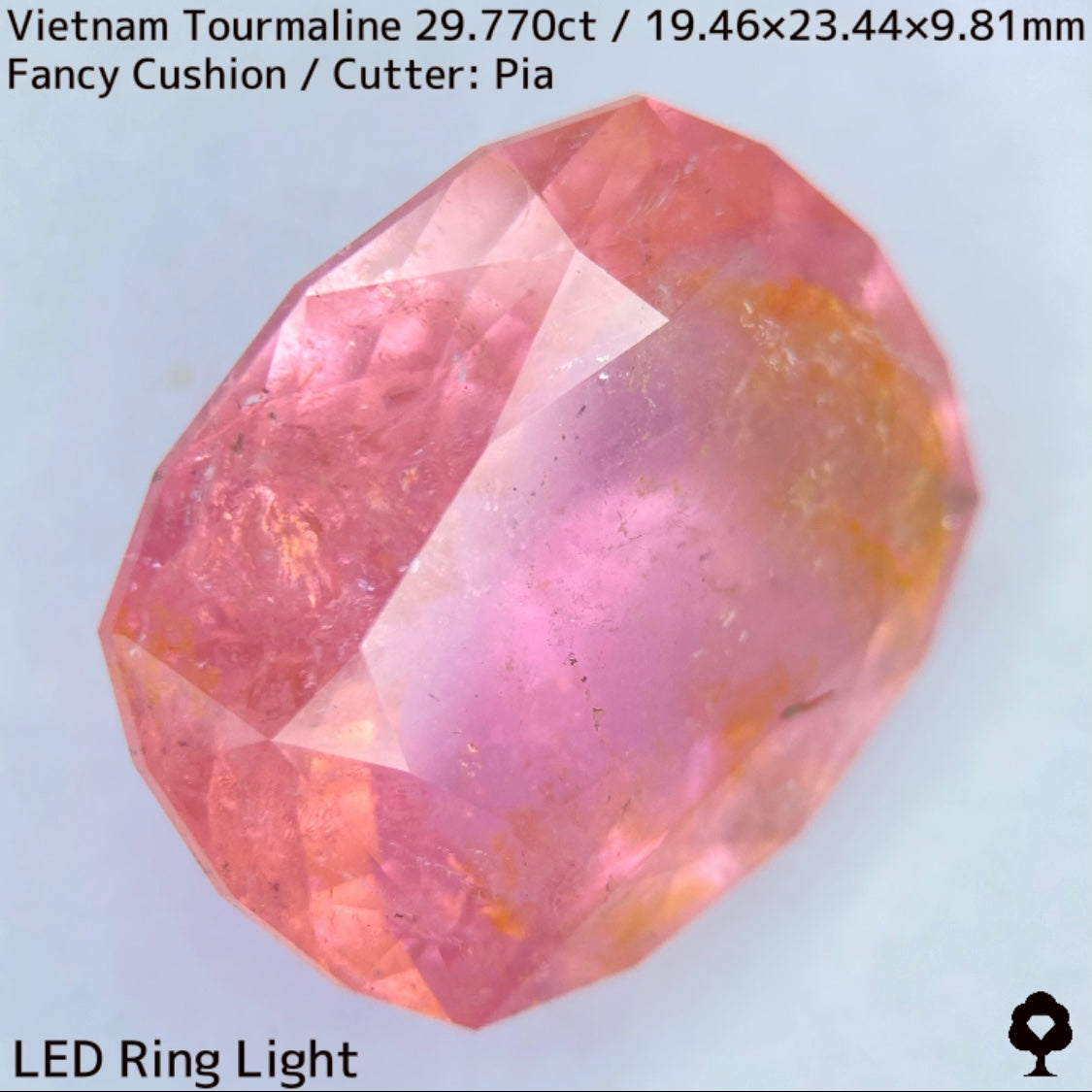 ベトナム産トルマリン29.770ct★華やかなベトナム産らしい桜満開巨石