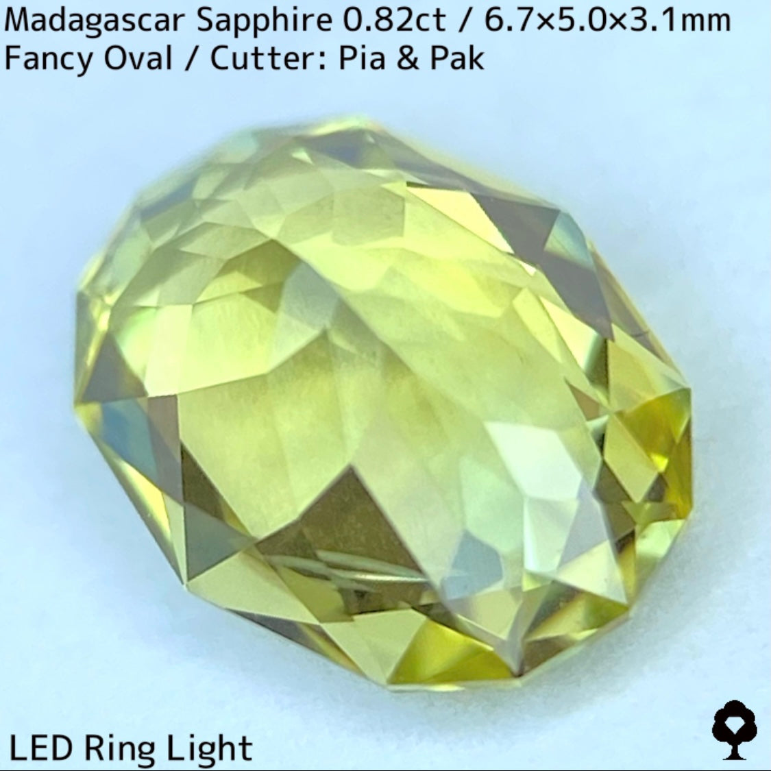 マダガスカル産サファイア0.835ct★煌めき抜群のイエローにブルーの色だまりが混ざるファイアー煌めくライトライムカラー