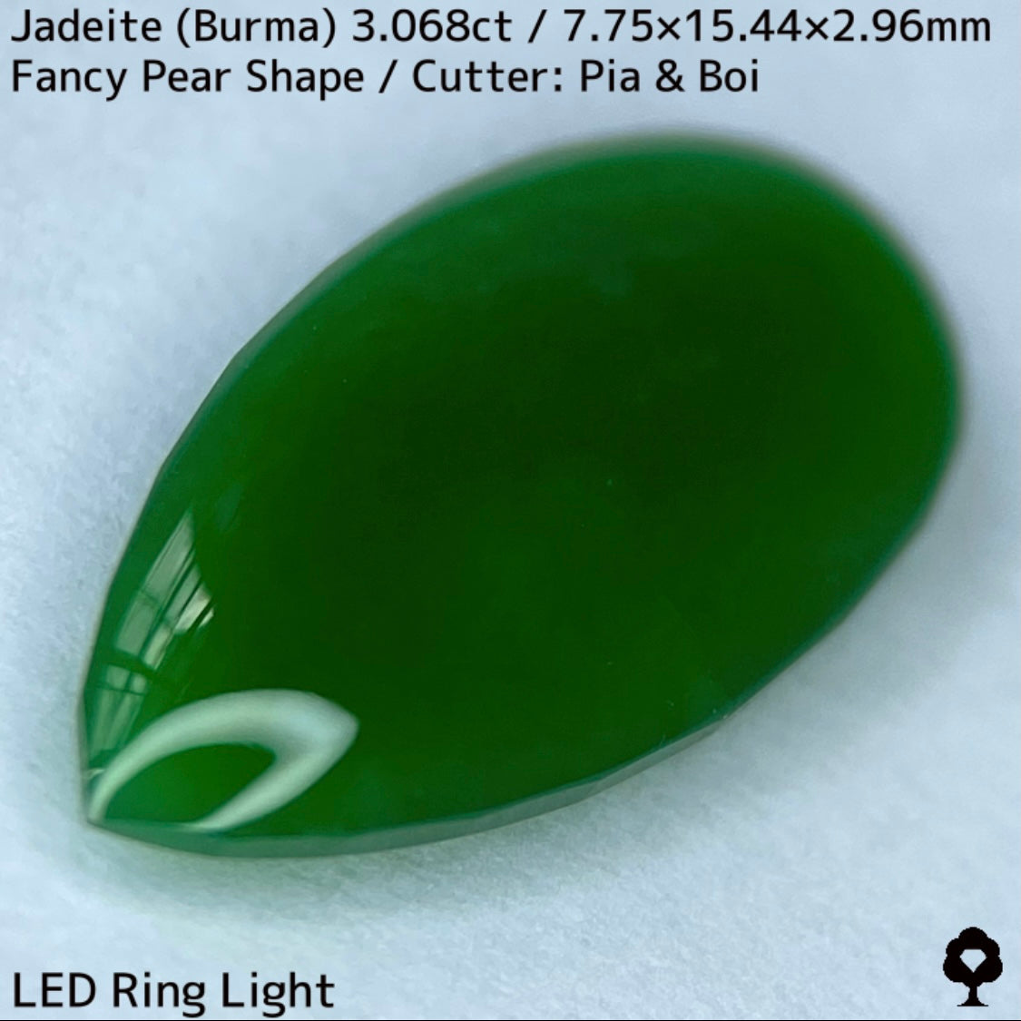 翡翠3.068ct★マスターストーンと言える濃色美グリーンのさりげなく輪郭が縁取られたツヤツヤファンシーペアシェイプ