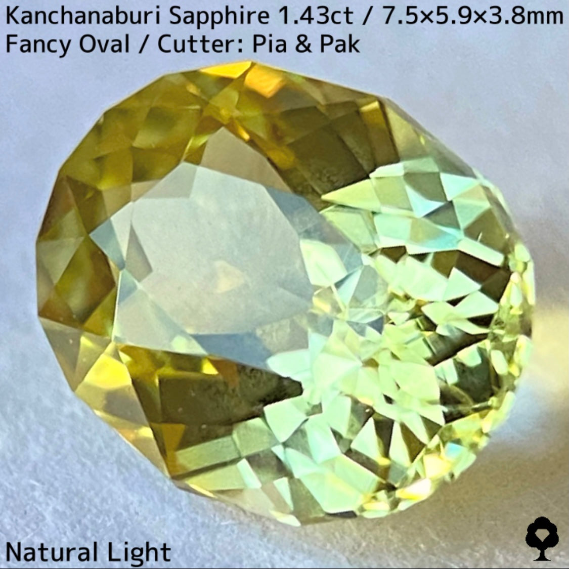 【GW特別企画★30%まほチケキャッシュバック】カンチャナブリー産サファイア1.43ct★グリニッシュイエローの1.4ctのボリュームから溢れるライトカラーの煌めきとファイアーがたまらない