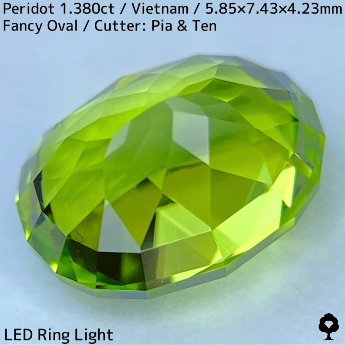 ベトナム産ペリドット1.380ct★発色の良いスカッとしたグリーンの美結晶は輝きに溢れる