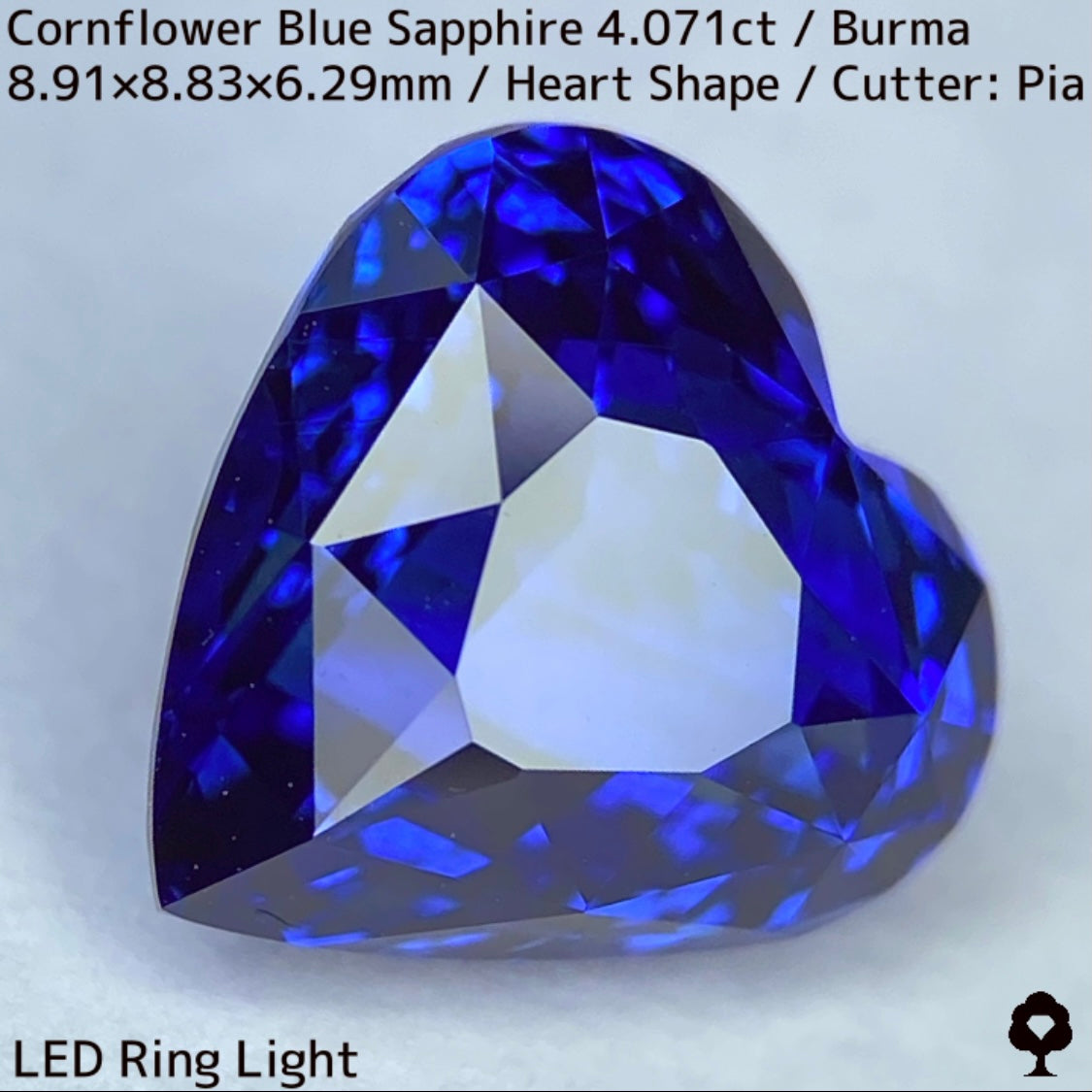 ビルマ産コーンフラワーブルーサファイア4.071ct★ロイヤルブルー寄りの濃いめ最高コーンフラワーブルーが美しすぎる超一級品