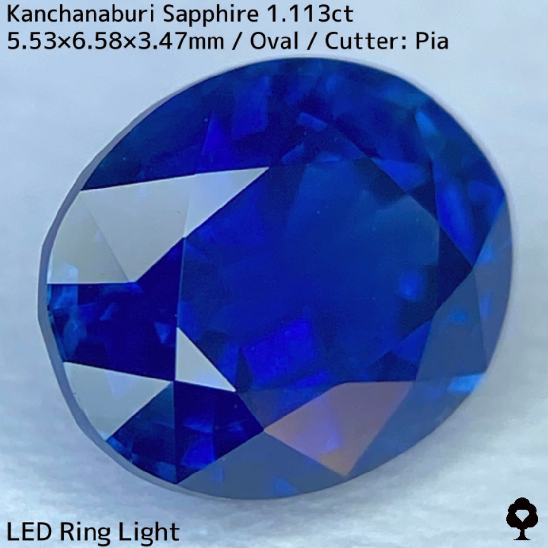 カンチャナブリー産サファイア1.113ct★カンチャらしいシルキーでほんのりグリニッシュなブルーの希少1ctアップ
