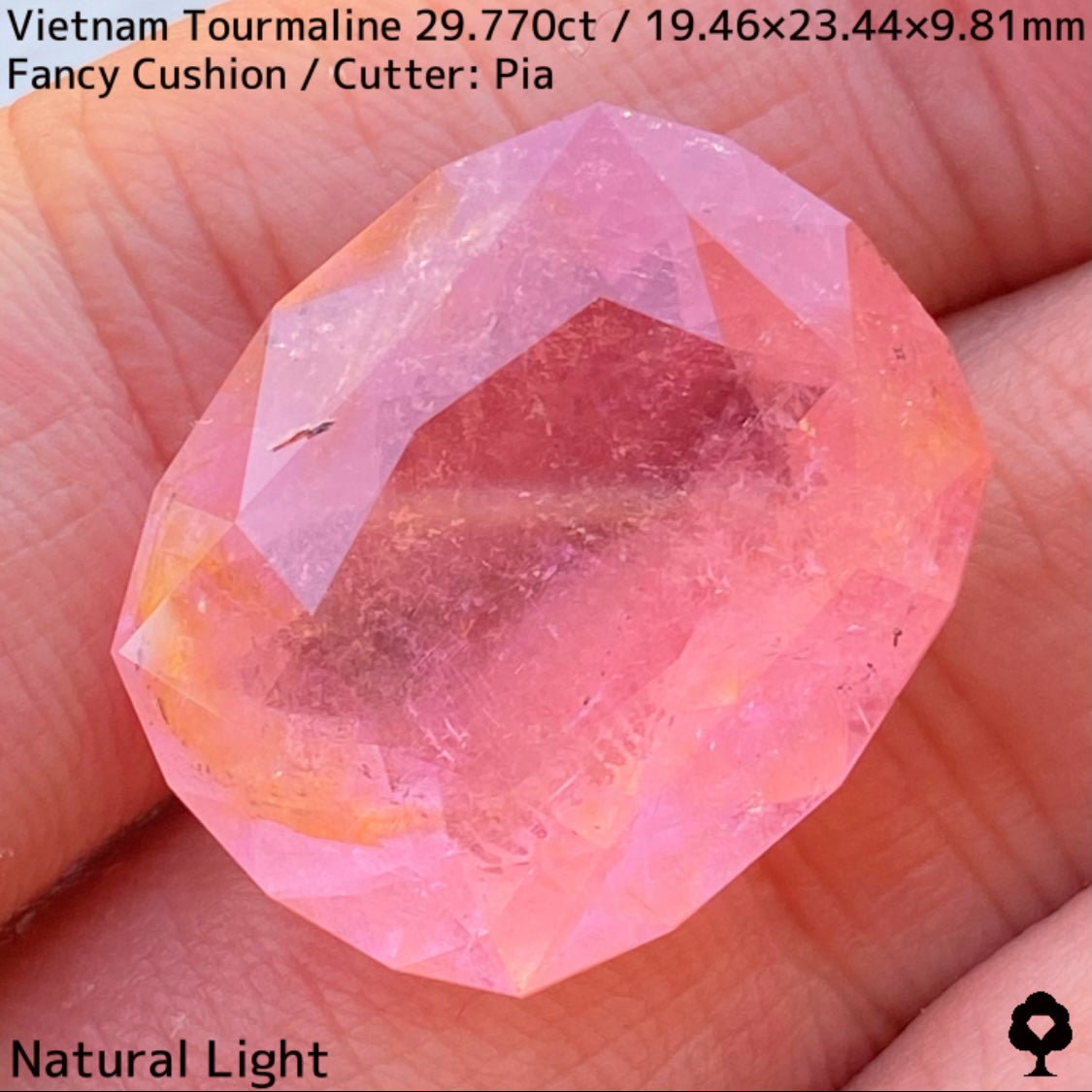 ベトナム産トルマリン29.770ct★華やかなベトナム産らしい桜満開巨石