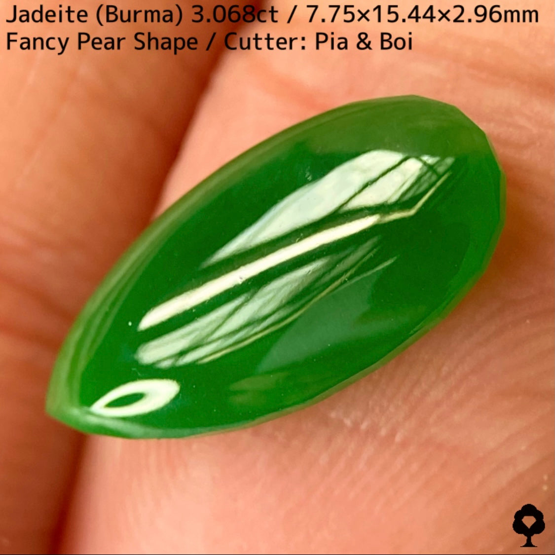 翡翠3.068ct★マスターストーンと言える濃色美グリーンのさりげなく輪郭が縁取られたツヤツヤファンシーペアシェイプ