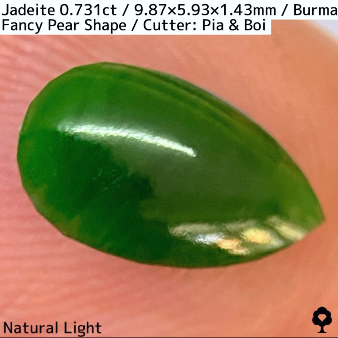 翡翠0.731ct★GTJ創業者大御所のセレクトのお手本翡翠に細やかな縁取り