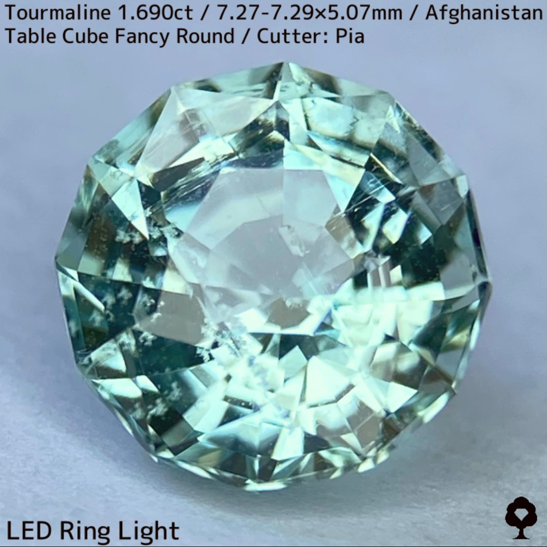 トルマリン1.690ct★美色ミントグリーンの煌めきがギラつくスパイダーカット