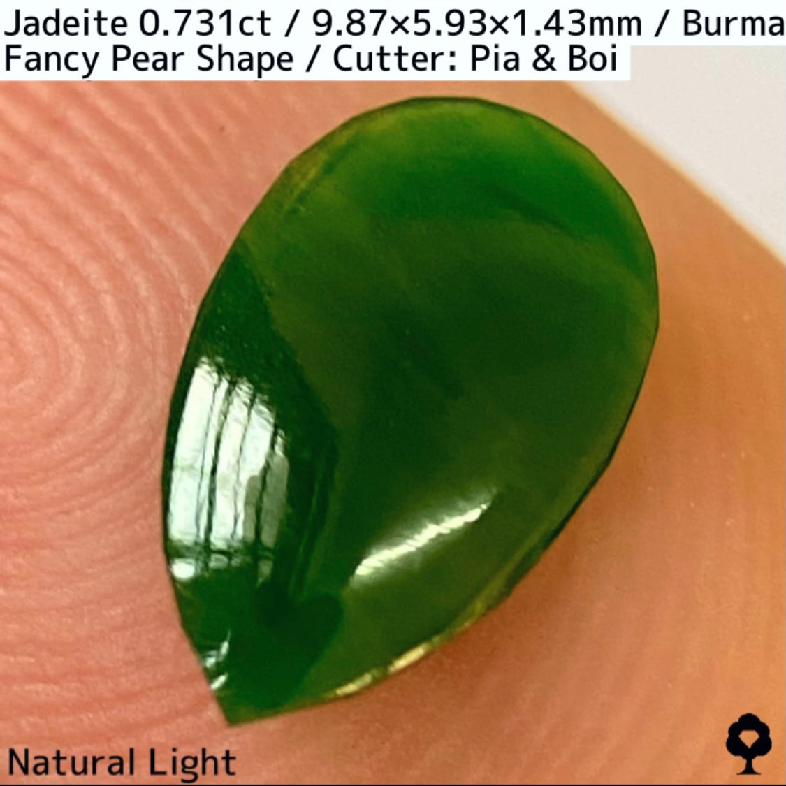 翡翠0.731ct★GTJ創業者大御所のセレクトのお手本翡翠に細やかな縁取り