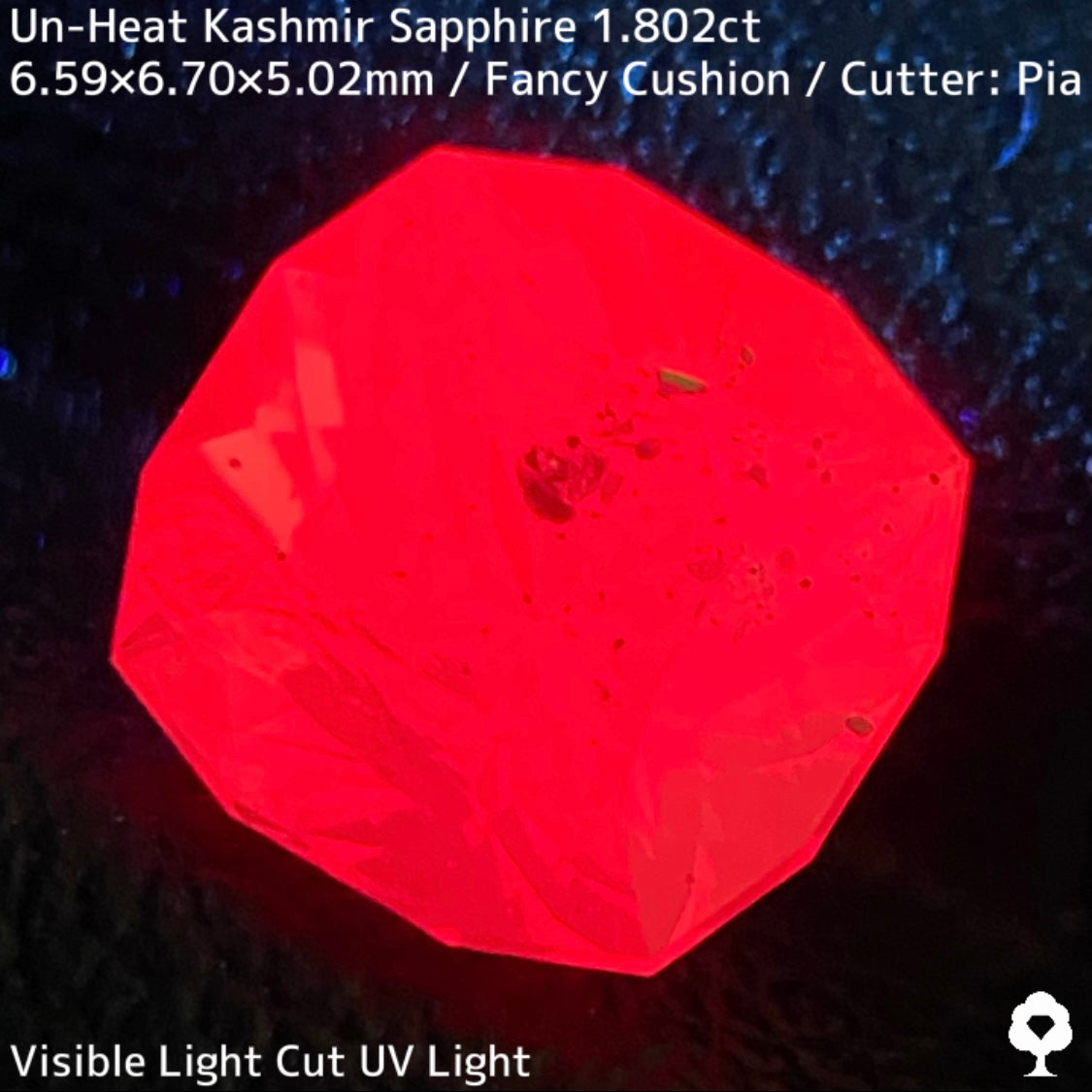 パキスタン産非加熱カシミールサファイア1.802ct★希産カシミールのらしさ全開の名品を色んな光源で楽しんで