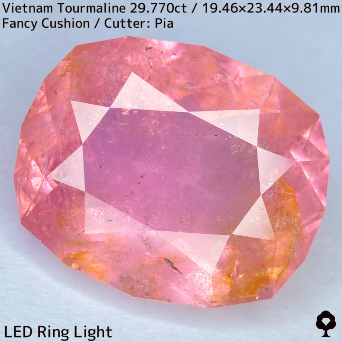 ベトナム産トルマリン29.770ct★華やかなベトナム産らしい桜満開巨石