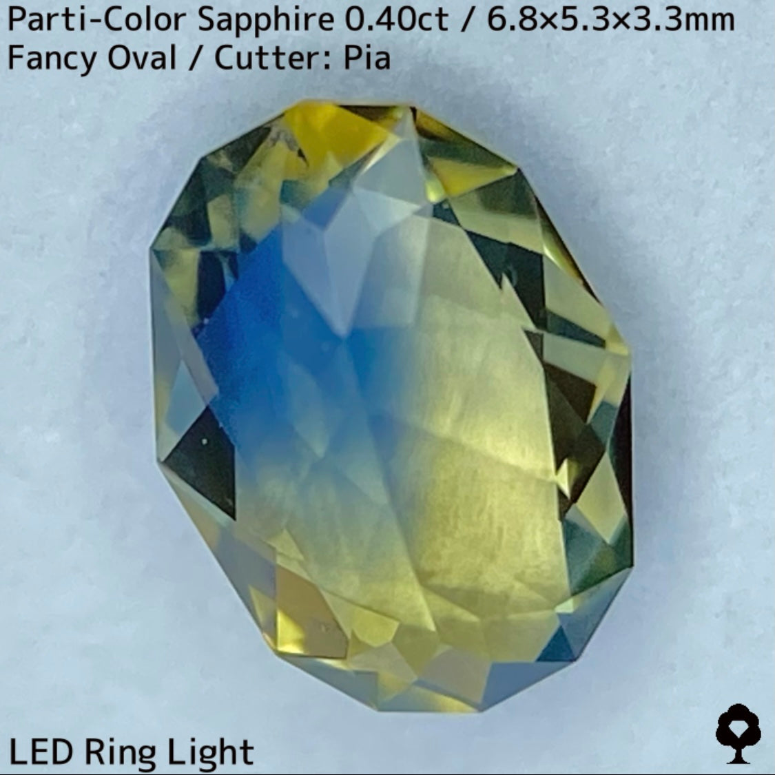 カンチャナブリー産パーティカラーサファイア0.40ct★鮮やかなイエローにシルキーブルーの色だまり