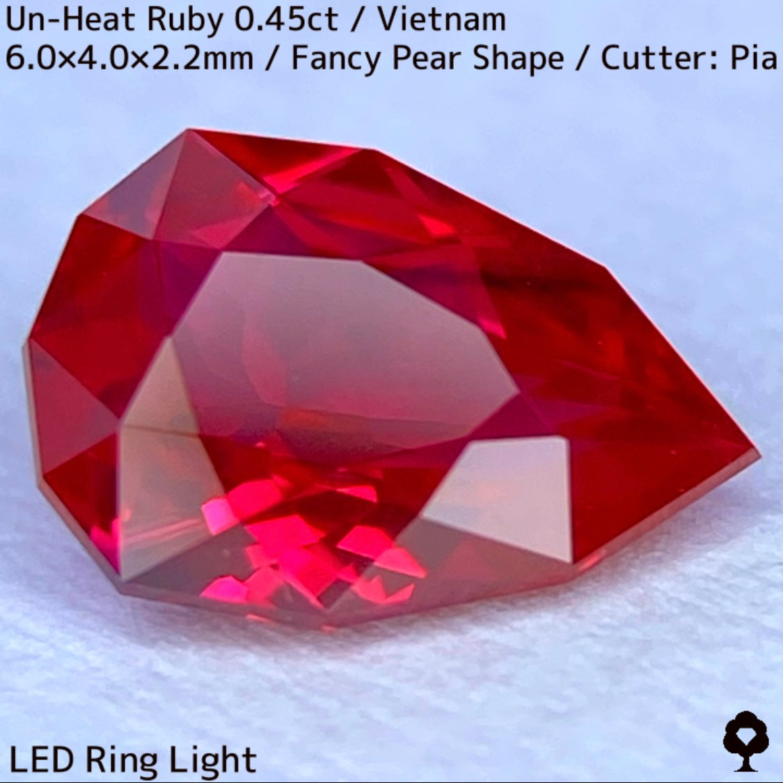 【ご当選者さま専用】ベトナム産非加熱ルビー0.45ct★強烈なネオンの煌めき放つ一級品質の超美色美結晶★コランダムフォーカスプライス