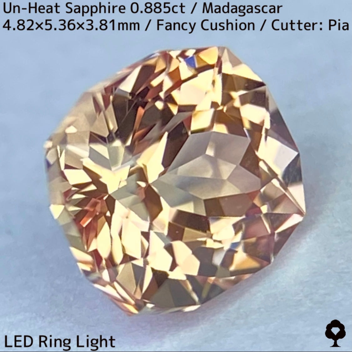 マダガスカル産非加熱サファイア0.885ct★インペリアルトパーズの様なシェリー感ある品と風格ある一石