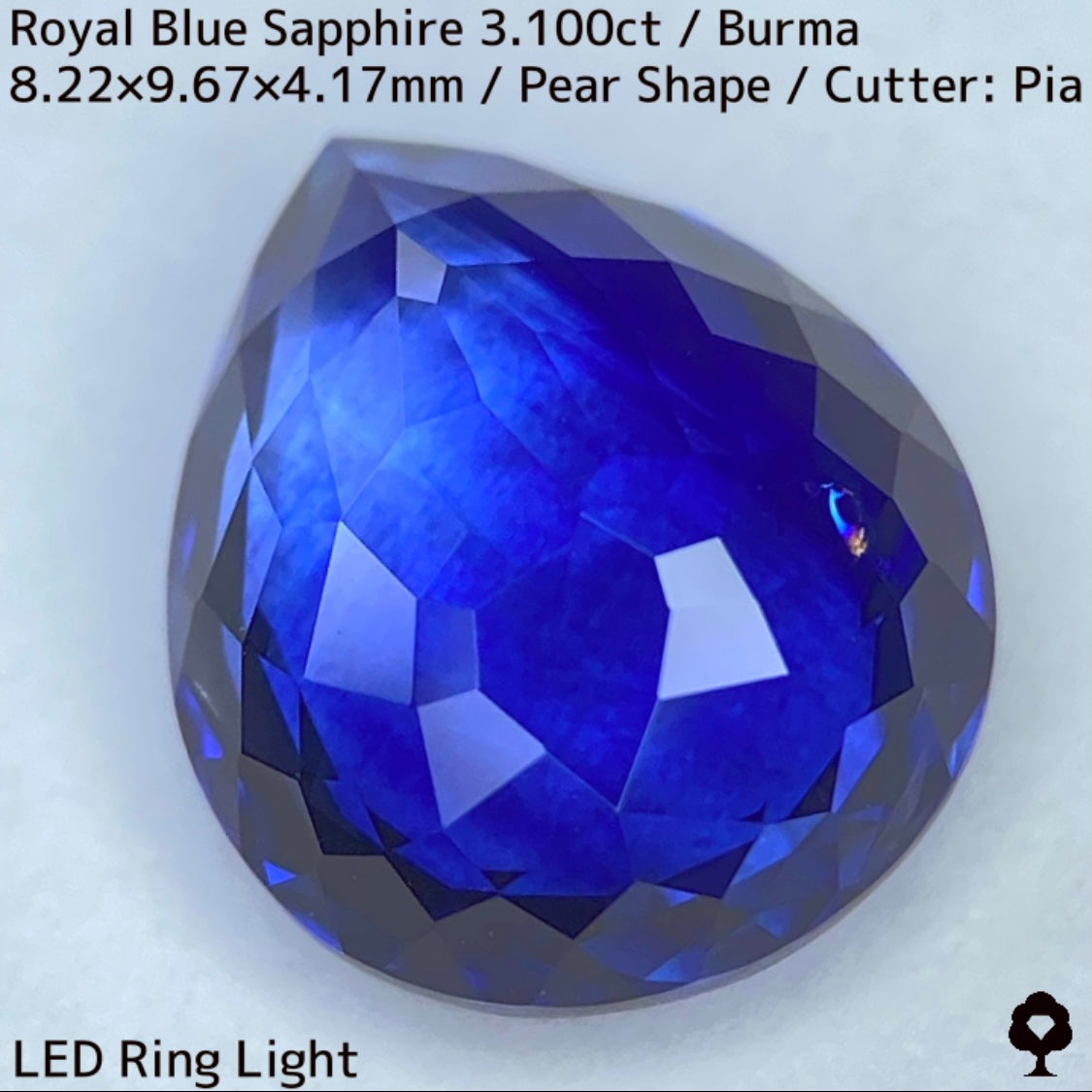 ビルマ産ロイヤルブルーサファイア3.100ct★ふっくらとした可愛いペアシェイプに仕上げられた趣ある超美色ロイヤルブルー