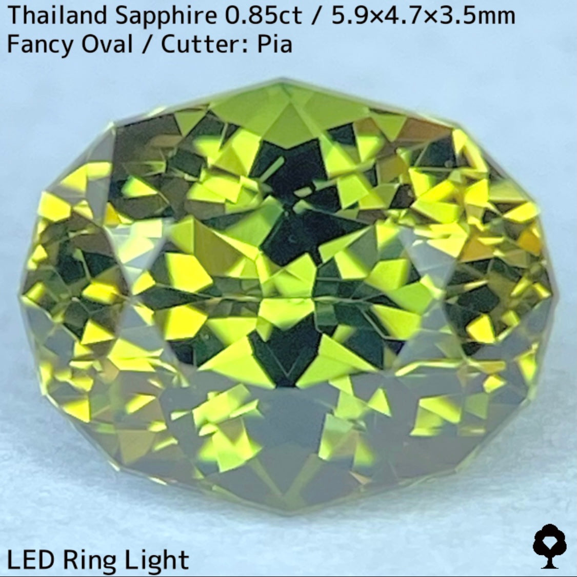 タイ産サファイア0.85ct★バンカチャらしいパーティライムカラーにファイアー彩る美結晶