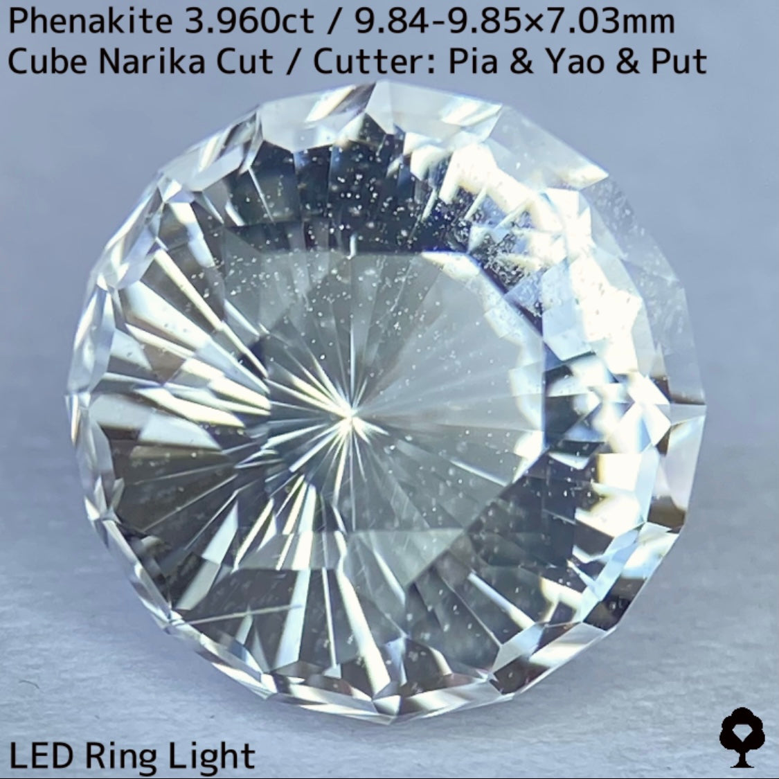 粉雪の舞う雪景色のような凛とした美しさの大粒レアストーンナリカーカット★フェナカイト3.960ct