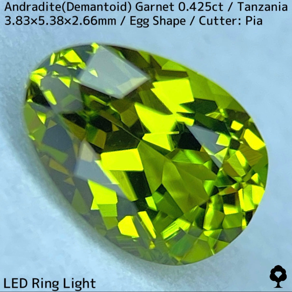 タンザニア産アンドラダイト(デマントイド)ガーネット0.425ct★程よい濃さの美グリーンから煌めき止まらないキュートなエッグシェイプ